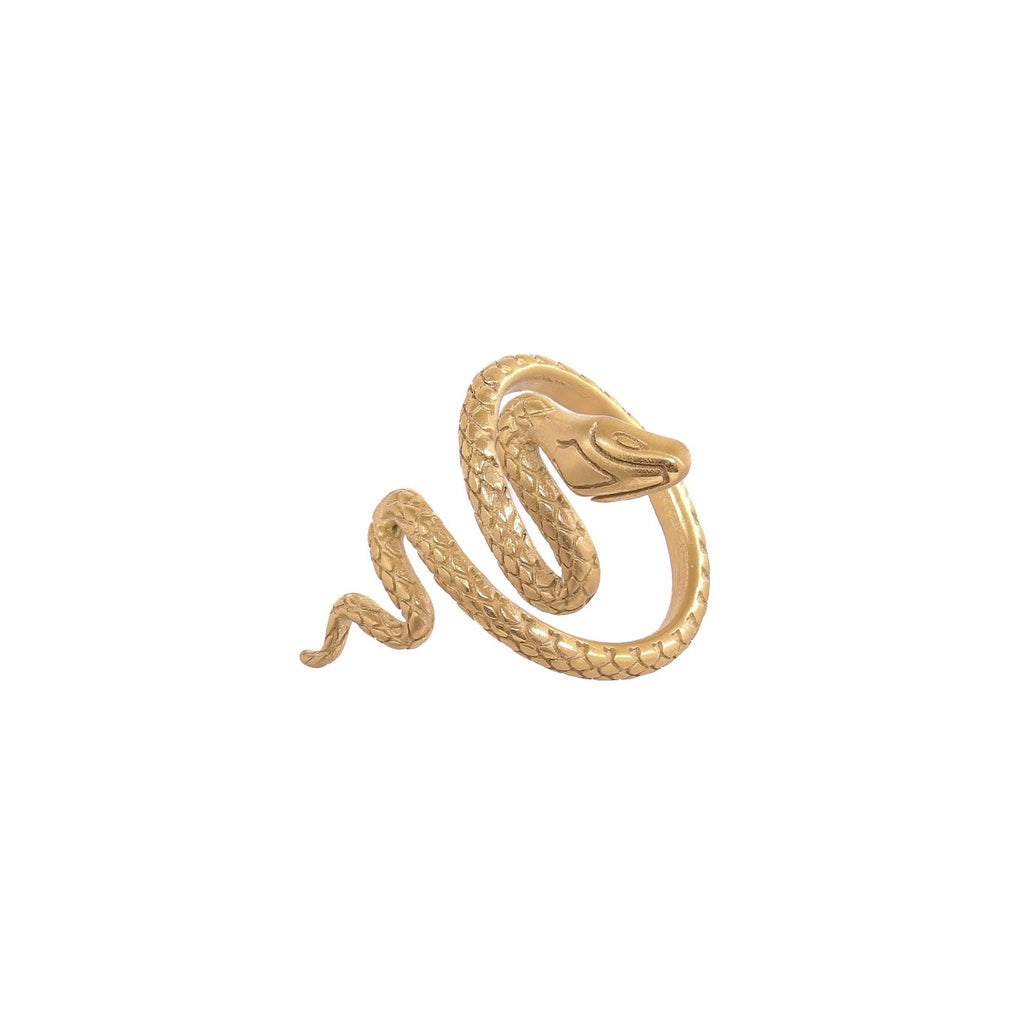 Snake ring